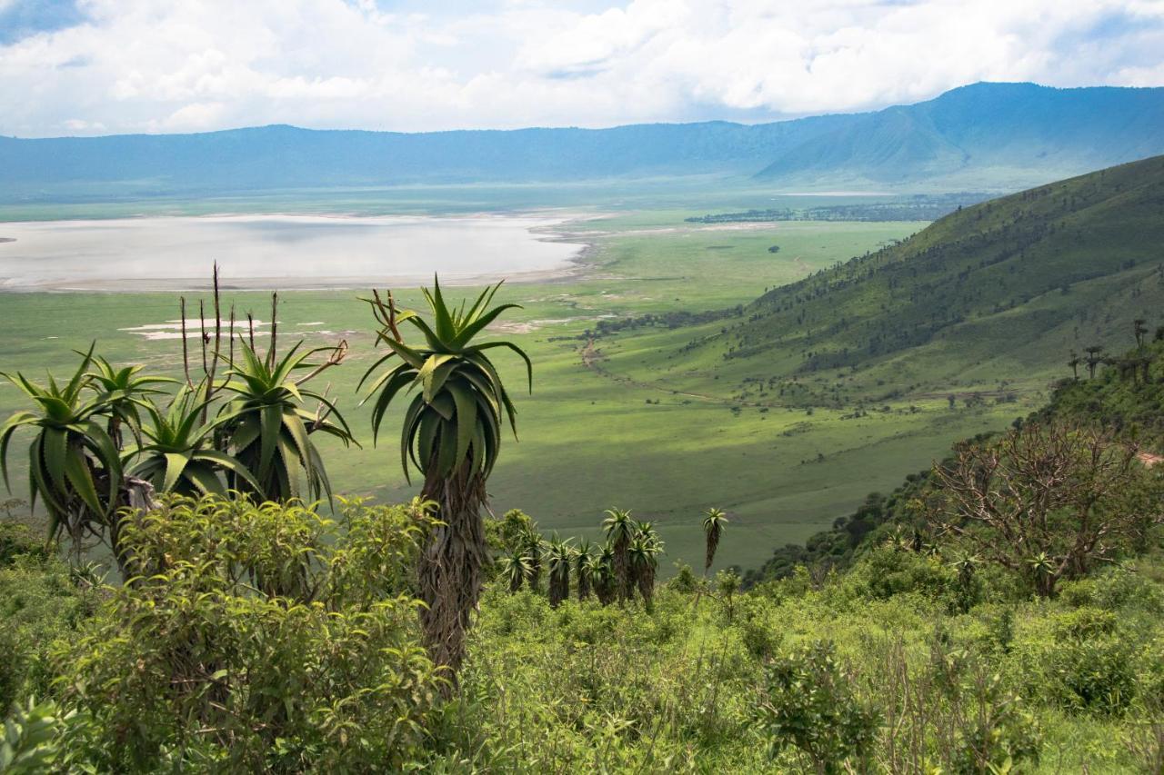 Africa Safari South Serengeti Ndutu Ngorongoro Sinoni Exterior foto