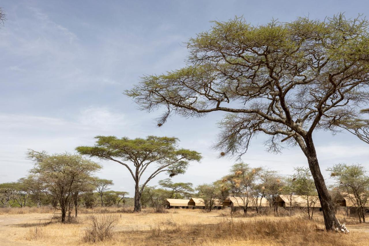 Africa Safari South Serengeti Ndutu Ngorongoro Sinoni Exterior foto