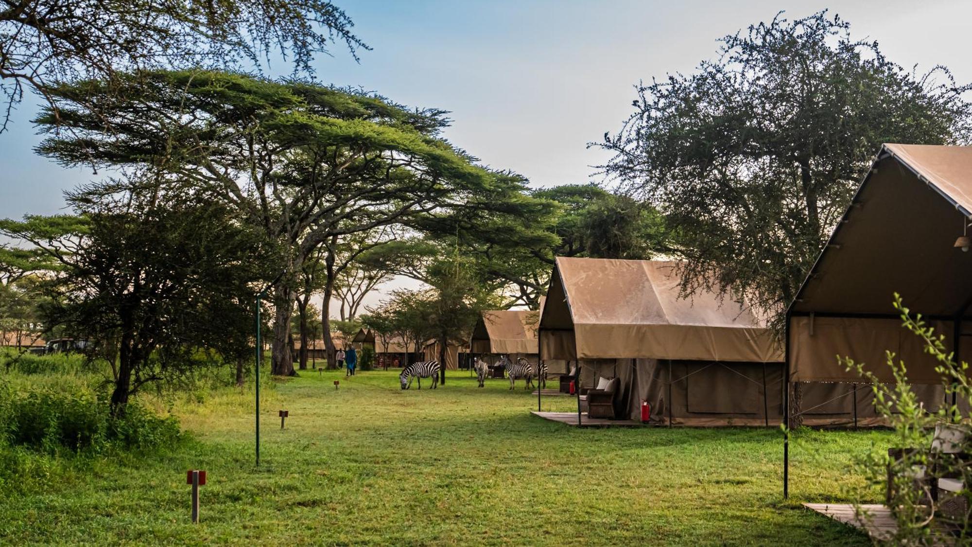 Africa Safari South Serengeti Ndutu Ngorongoro Sinoni Exterior foto
